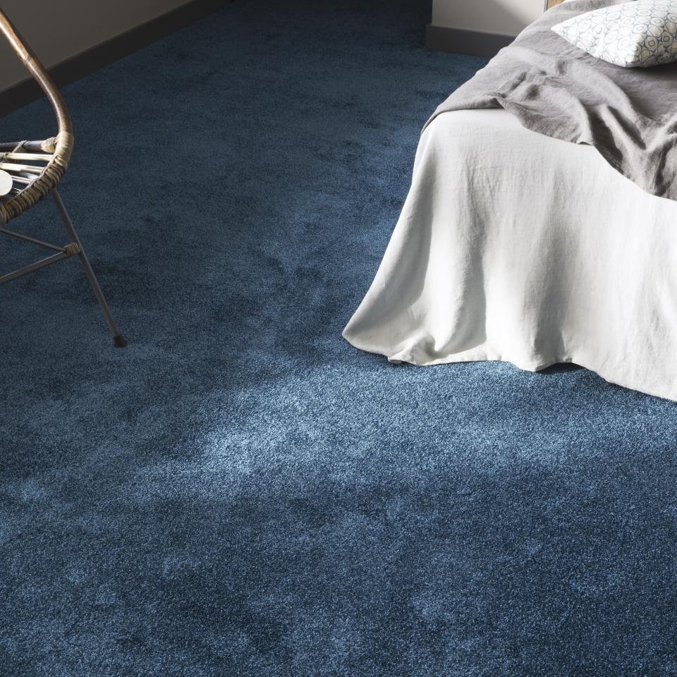 nouwens bogaers blauw tapijt