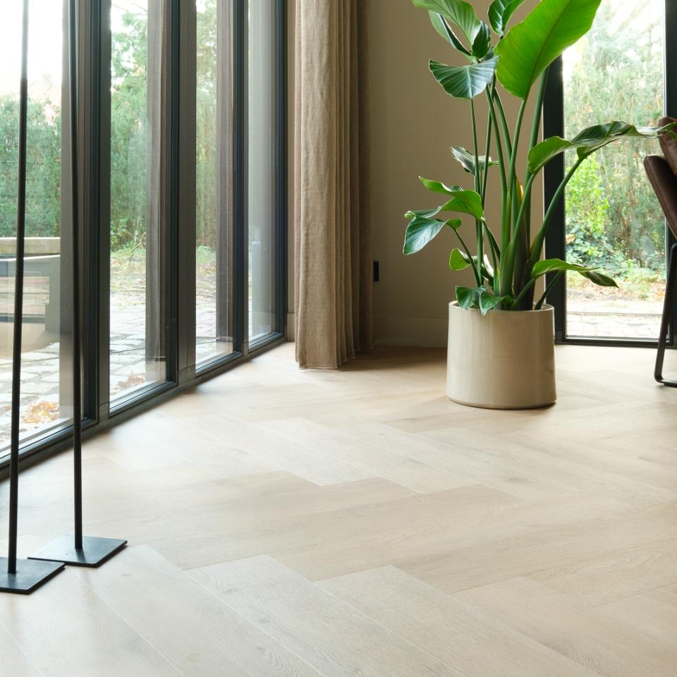 visgraat xl 